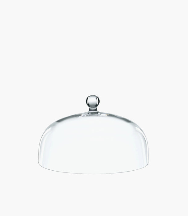 Bossa Nova Dome for cake plate