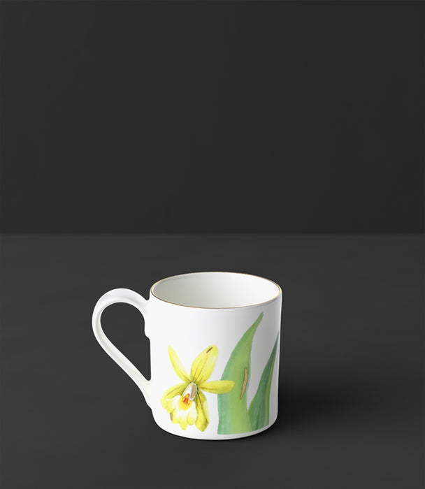 Medusa Rhapsody Mug With Handle