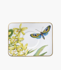 Amazonia Saucer Espresso Cup 14x11cm