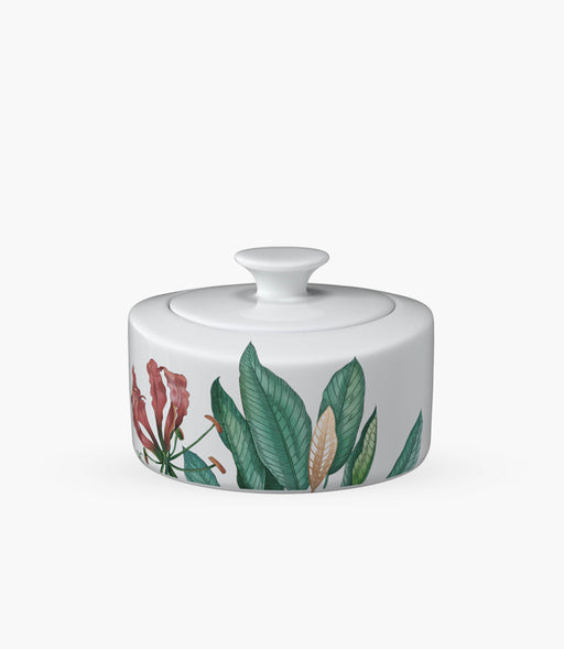 Avarua Sugar/Jampot 6 pers - Roomours UAE