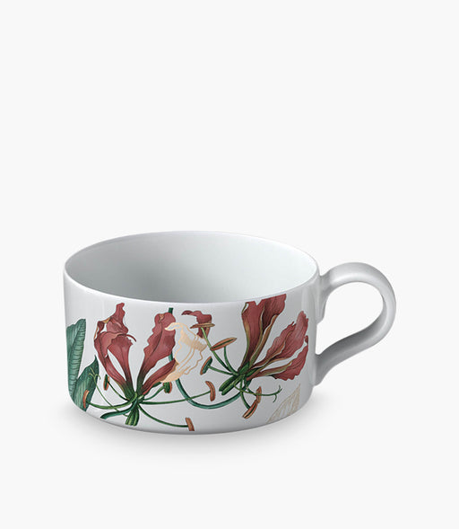 Avarua Tea cup - Roomours UAE