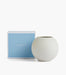 Folia Rose Bowl 13Cm Warm White - Roomours UAE