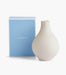Folia Bulb Vase 24Cm Powder Pink - Roomours UAE