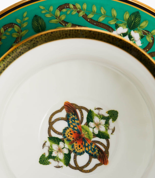 Wonderlust Emerald Forest Teacup and Saucer - Roomours UAE