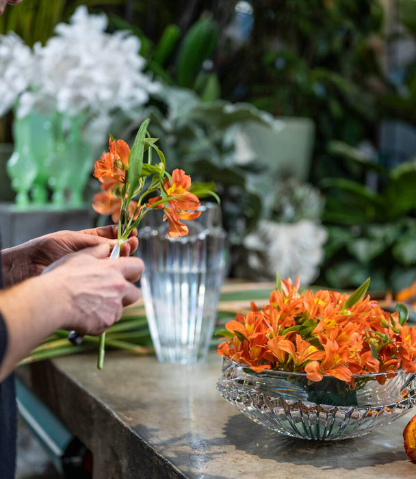 Oceania Centerpiece - Roomours UAE