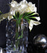 Crystalization Mini Vase 12 Cm - Roomours UAE