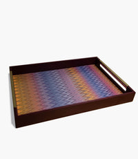 Longuette Tray Light Color 48*33.5*5 cm - Roomours UAE