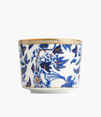 Hibiscus Teacup and Saucer 2P Set Iconic - Roomours UAE