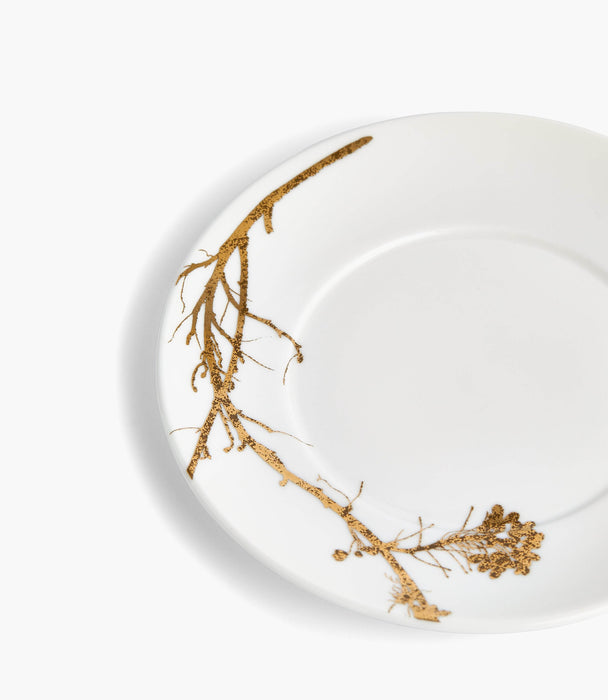 Vera Wang Jardin Teacup and Saucer Set - Roomours UAE