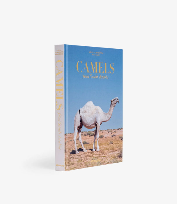 Camels From Saudi Arabia (Classic)