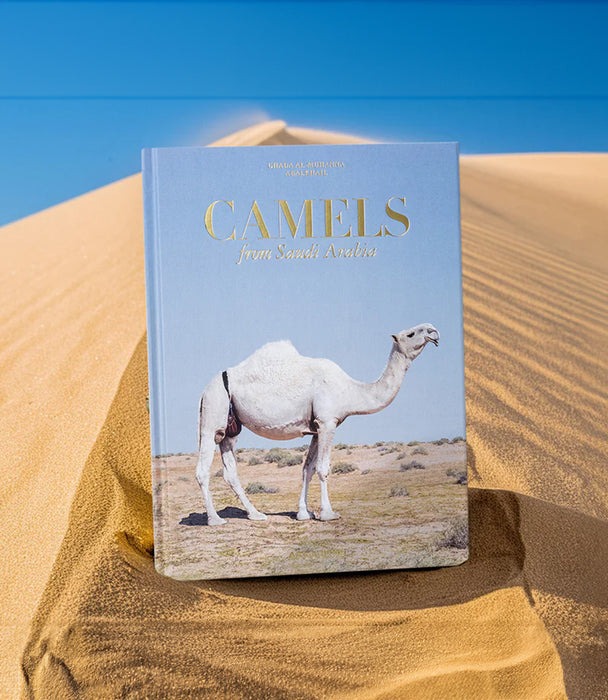 Camels From Saudi Arabia (Classic)