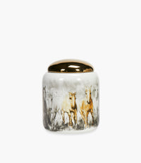 Small Horse Porcelain Grey & Yellow Container 25×21.5 Cm